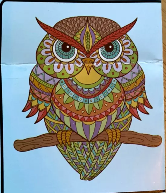 Jigsaw Owl Puzzle Wooden Puzzle Hartmaze 209 pieces New Complete w Owl Poster