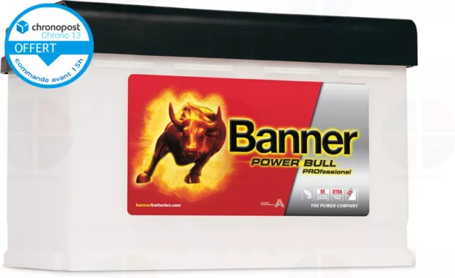 Batterie Auto 12v 77ah 680A Banner Power pro P7740 E44 L3