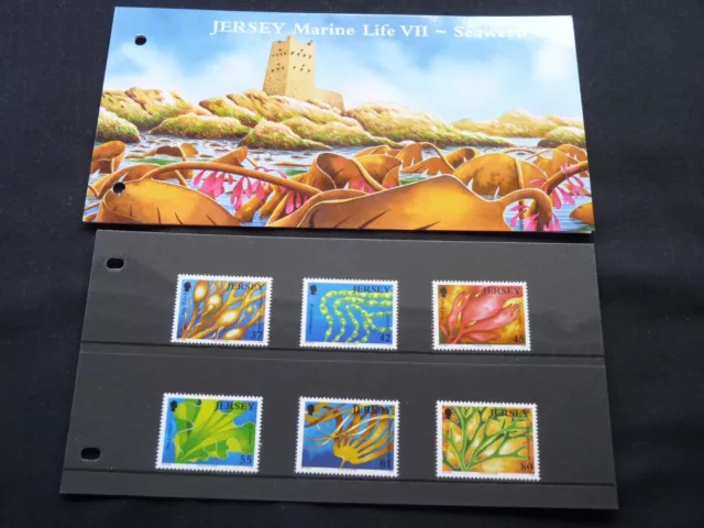 Jersey Presentation Pack. 2009 Marine Life Vii - Seaweed. Sg 1444 - 1449 Mnh