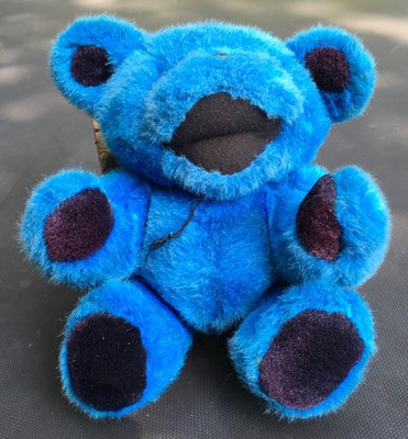 steven smith teddy bear