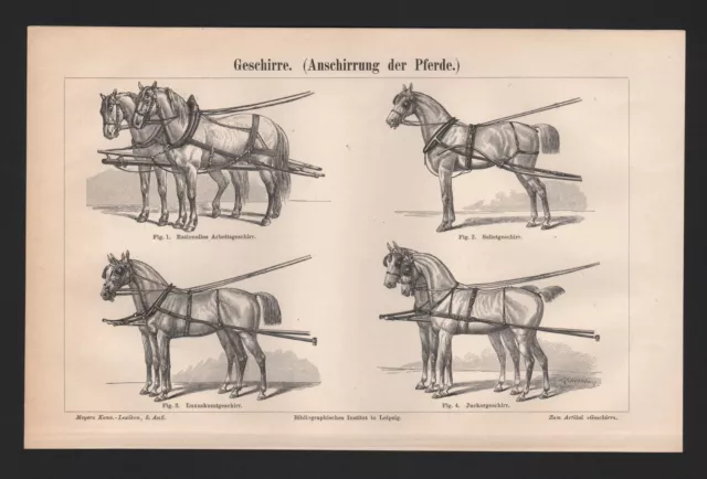 Lithografie 1896: Geschirre. (Anschirrung der Pferde.) Säuge-Tiere Pferd Turf