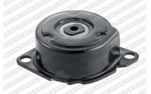 SNR Galet tendeur (courroie d'accessoire) GA350.96 - Pièces Auto Mister Auto