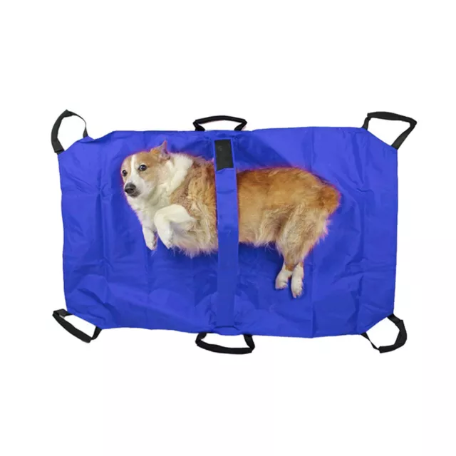 Portable Pet Transport Stretcher First Aid Animal Emergency Sports Injury Rescue