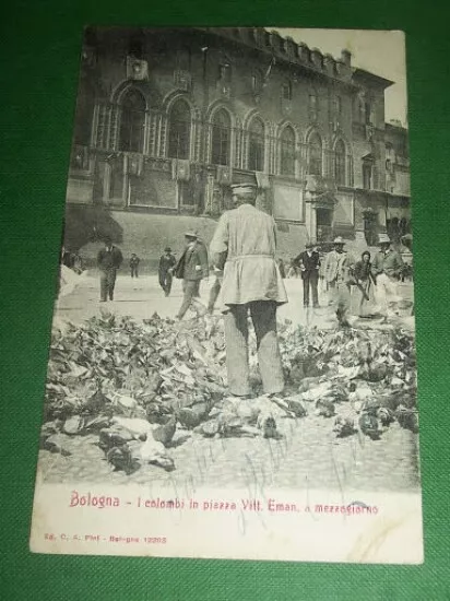 Cartolina Bologna - I colombi in piazza Vitt. Emanuele a mezzogiorno 1900 ca.