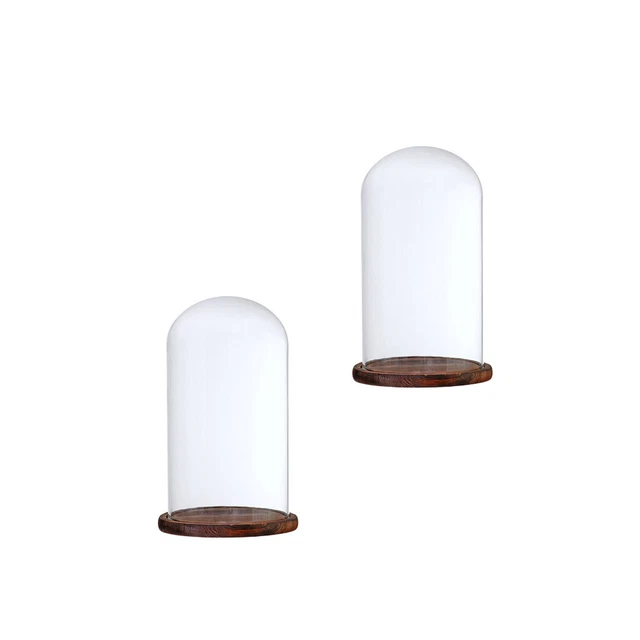 2 Stück 12 x 20 cm Klarglas Display Dome Cloche Glasglocke mit Holzsockel F