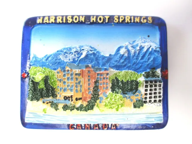 Harrison Hot Springs Canada Columbia Poly Fridge Magnet Souvenir (166)