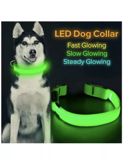 LED Light up Dog Collar Pet Night Safety Bright Flashing Adjustable Nylon 2023