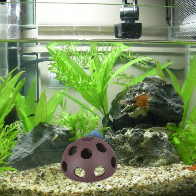 2 Pcs Shrimp Rock Cave Hides Aquarium Small Fish Nest Breeding Group Tank