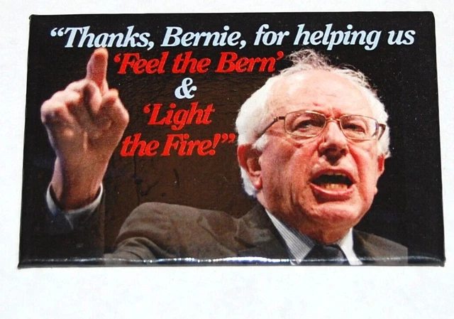 2016 BERNIE SANDERS FEEL BERN campaign pin pinback button political president