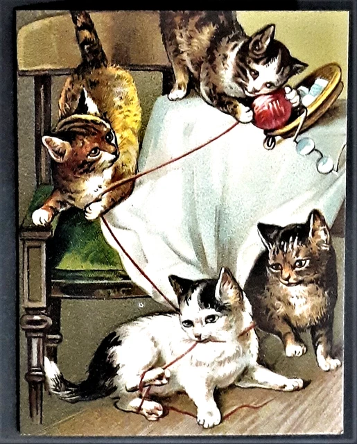 NEW Vntg Style Thank You Note w Envelope  KITTENS PLAYING WITH YARN  Mfr USA