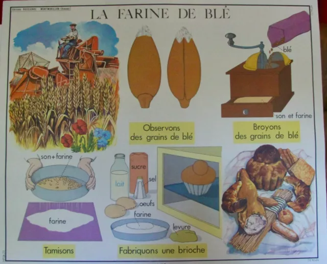 affiche scolaire rossignol leçons de choses école élocution la mouche la laine