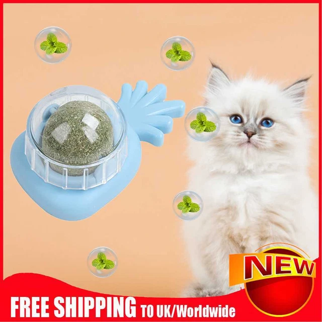 Suministros para mascotas de piña hierba gatera con juguetes interactivos de hierba gatera (azul claro)