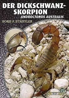 Der Dickschwanzskorpion von Striffler, Boris F. | Buch | Zustand sehr gut