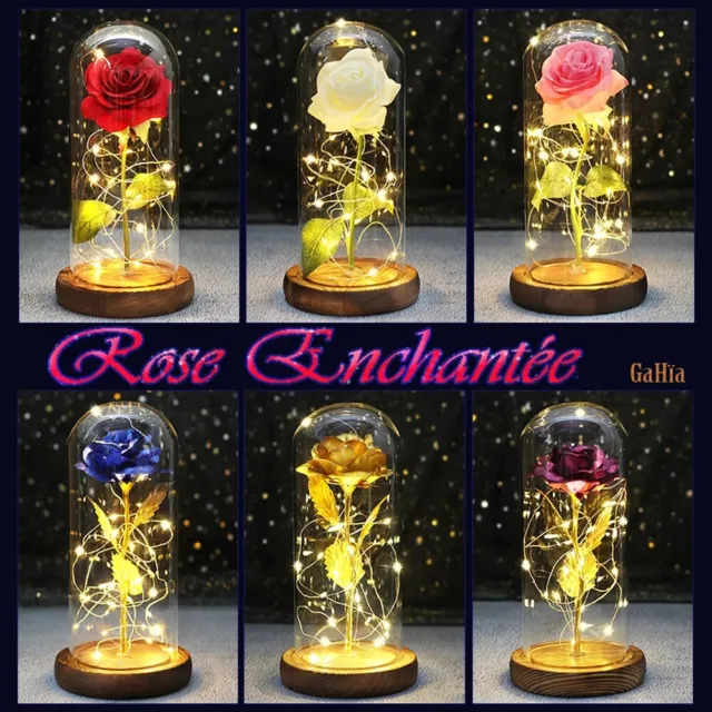 Lampe Romantique Rose Enchantée Fleur d'Amour Magique Lumineuse Socle en Bois