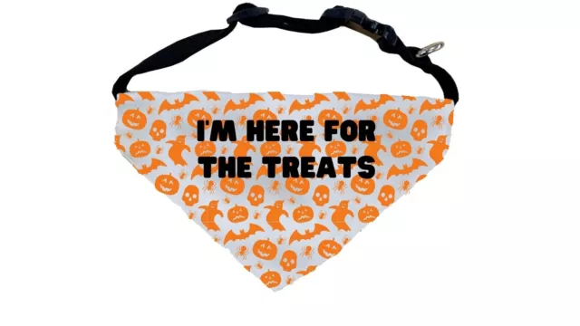 Dog Halloween Costume Personalised Bandana Trick Or Treat Pet Collar Custom