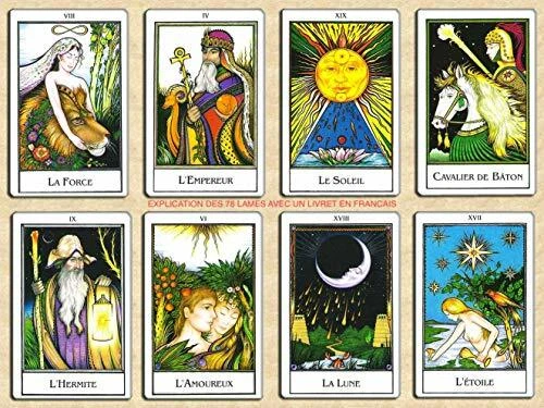 Le Tarot de Tours Cartes Divinatoires Un Vrai Guide pour chacun Jeu de