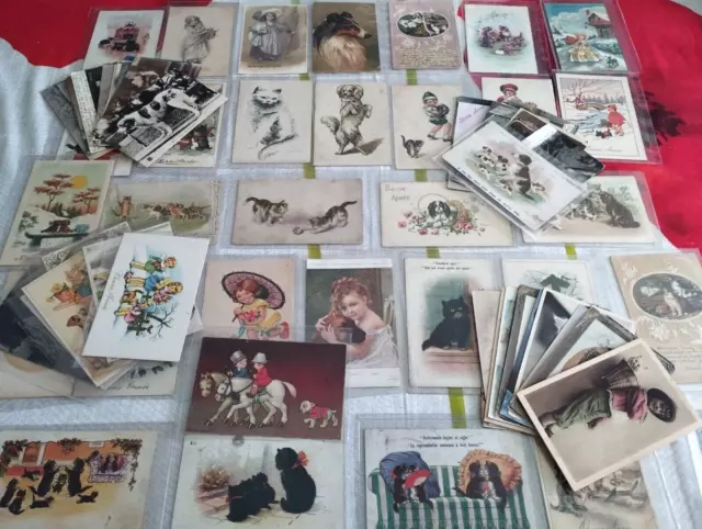 lot de 79 cartes postale Ancienne thèmes chat et chien voir photo  lot cpa