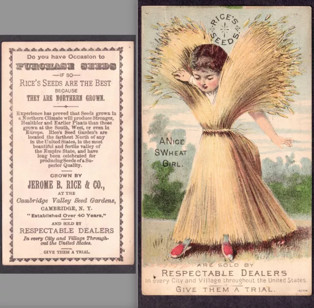 Rices Seeds NY S' Wheat Girl Vegetable Veggie Fantasy Comic Victorian Trade Card