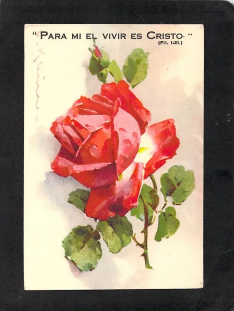B3128 Greetings Rose Religious Verse pu1907 SqC Wallaroo vintage postcard