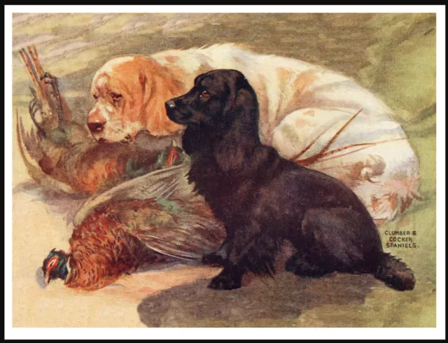 Clumber And Cocker Spaniel Dogs With Game Vintage Style Dog Art Print Poster