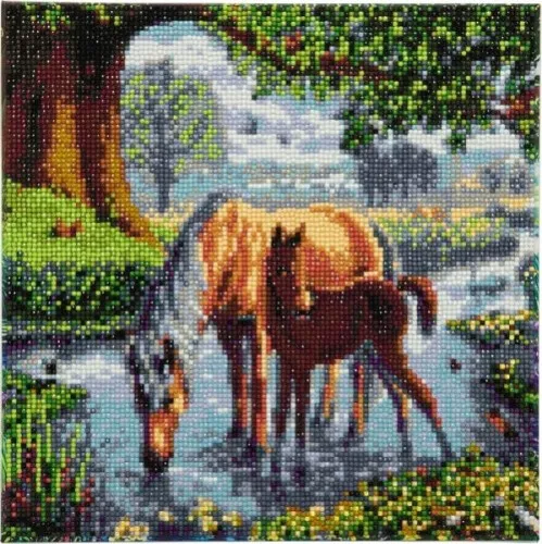 Craft Buddy CAK-SC1 - Fell Ponies, 30x30cm Crystal Art Kit, Diamond Painting