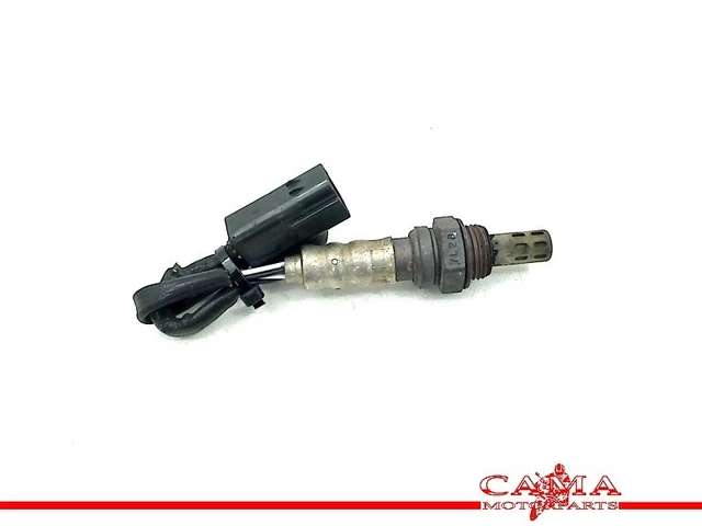 SENSORE LAMBDA Ducati Monster 696 2008-2013 (M696) 2008