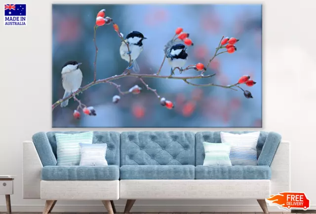 Birds on a Fruit Tree Photograph Wall Canvas Home Decor Australian Made Quality