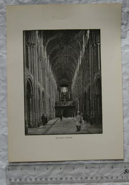 1890 engraving The Nave, Norwich Cathedral