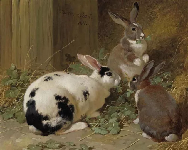 Fun Gift Home Art Wall Decor Rabbits Oil Painting Picture Printed On Canvas