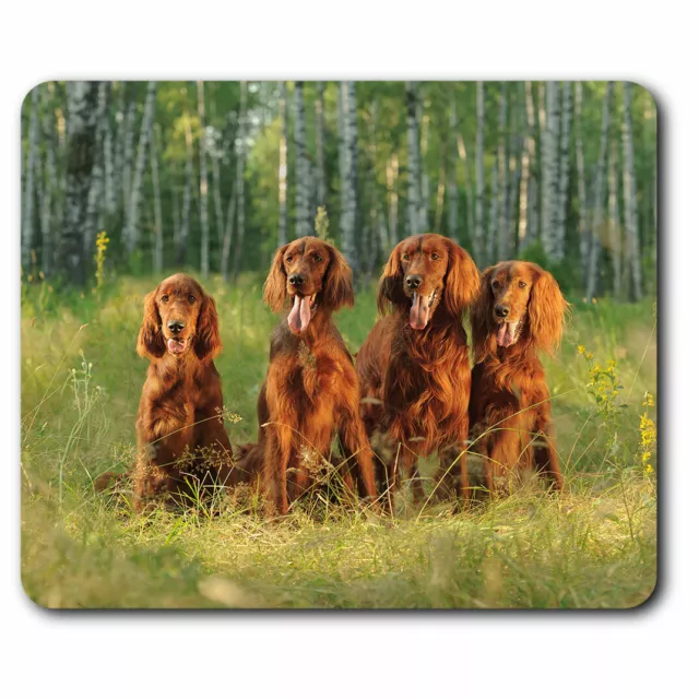 Computer Mouse Mat - Irish Red Setter Family Dog Office Gift #3389