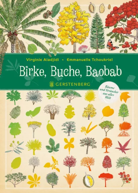 Birke, Buche, Baobab von Virginie Aladjidi (2013, Gebundene Ausgabe)