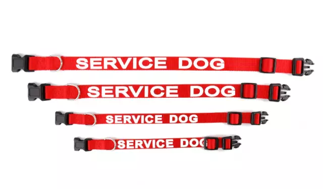 Collier harnais animal soutien émotionnel Service Dog ESA et étiquette ALL ACCESS CANINE™