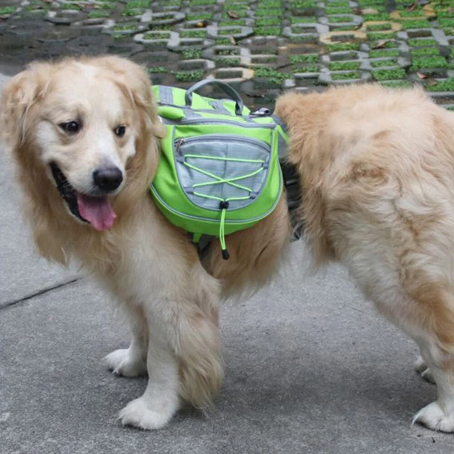Mochila Mochila Grande Perro Bolso de Campamento Pequeña Escuela Bolsada Viaje