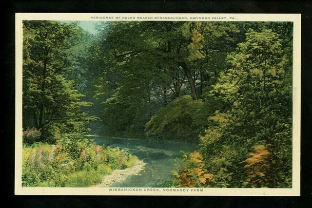 Pennsylvania PA postcard Gwynedd Valley, Strassburger Normandy Farms Phostint