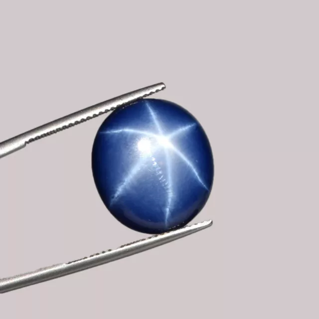 Ebay 10 ct 6 Rays Blue STAR SAPPHIRE Cabochon With CERTIFICATE For RING USE.
