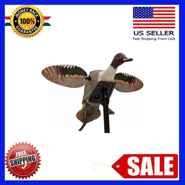 MOJO Outdoors Elite Series Pintail Decoy