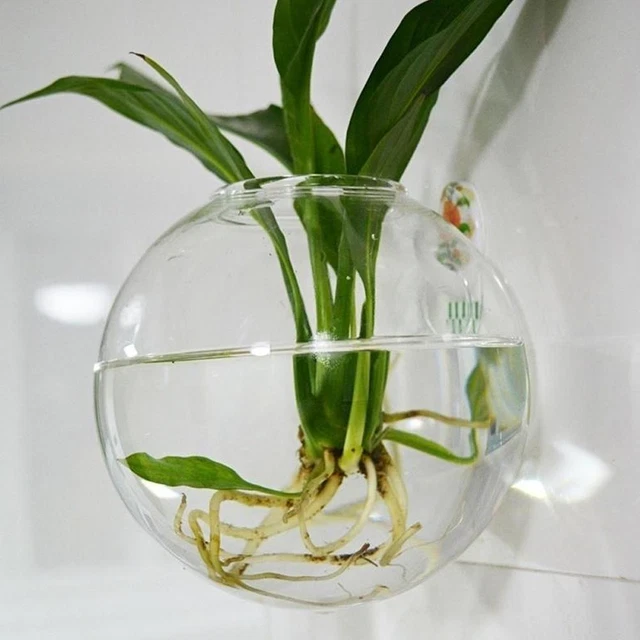 Wall Mounted Fish Tank Bowl Bubble Aquarium Hanging Bet Goldfish hot. F9Y2