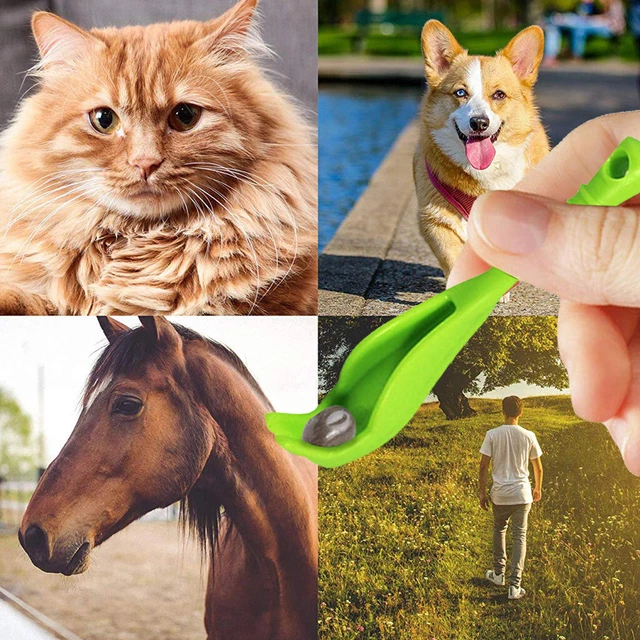 2Pcs NEW Pack 2 Sizes Tick Remover Hook Tool Human/Dog/Pet/Horse/Cat Useful