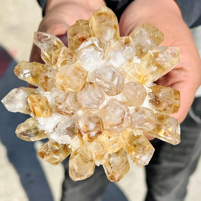 1.31LB Natural Citrine cluster mineral specimen quartz crystal healing