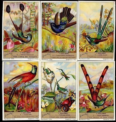 n° 1332 I colibrì  1936 Liebig ITA a365  s 