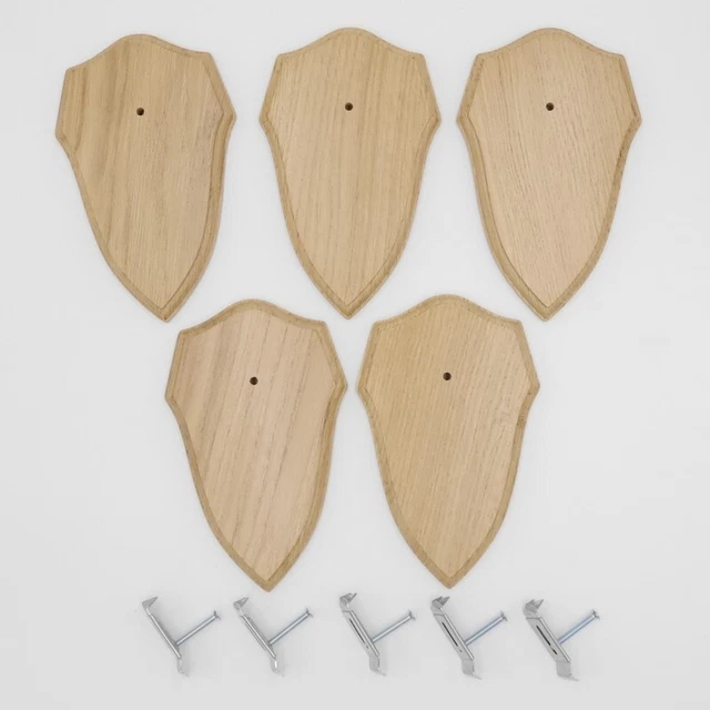 5 Pieza Escudo de Trofeo Forma Af 19CM X 11CM Claro + 5X Ganchos Cornamenta