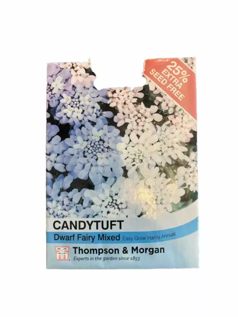 CANDYTUFT Dwarf Fairy Mixed Seed Pack