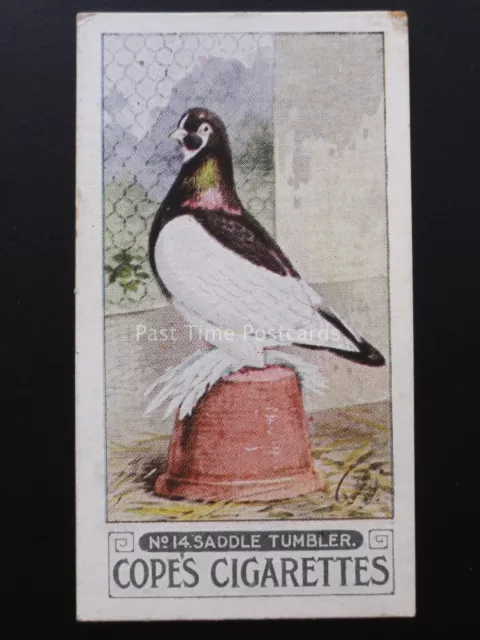 No.14 SADDLE TUMBLER - Pigeons by Cope Bros & Co. Ltd 1926