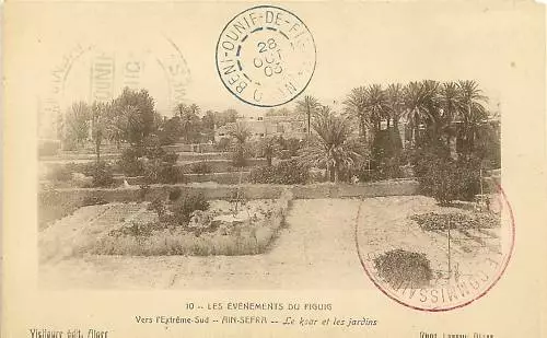 Cpa Algerie Ain Sefra Le Ksar Et Les Jardins