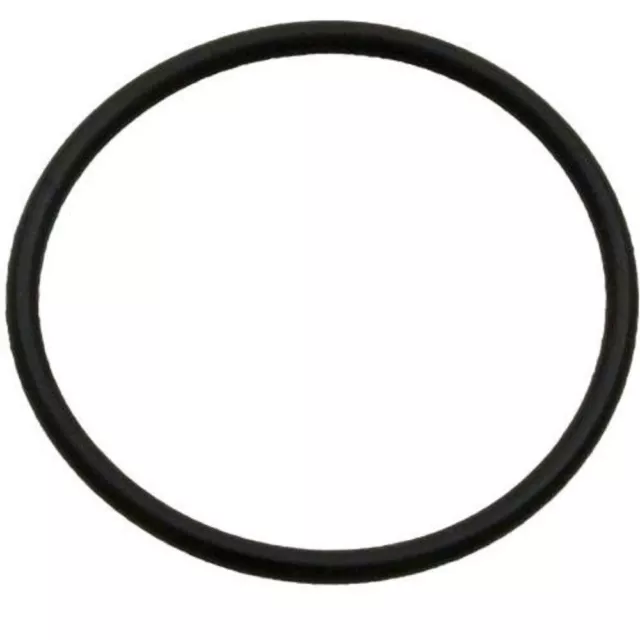 Jandy Zodiac 9-100-5132 O-Ring Feed Pipe Assembly 91005132