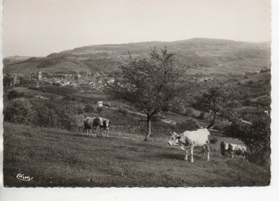 39 Jura Animée CPA Pont de Poitte / Patornay TBE Vue des Forges 