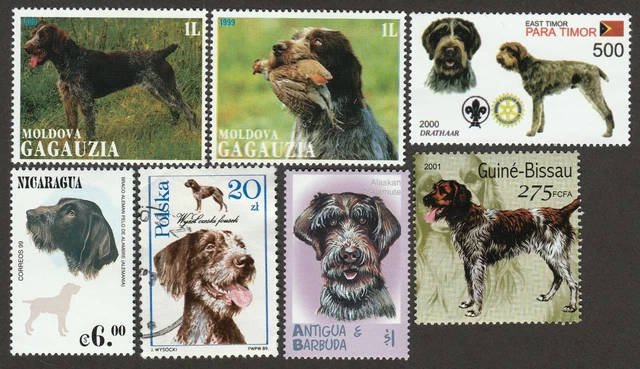GERMAN WIREHAIRED POINTER ** Int'l Dog Stamp Art Collection **Great Gift Idea**