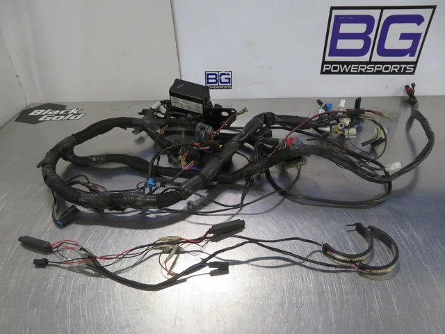 Eb1209 2007 07 Victory Jackpot Main Electrical Harness