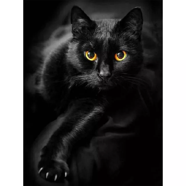 5D Diamond Painting Kit DIY black cat Full Round Drill Mosaic(HJ499)