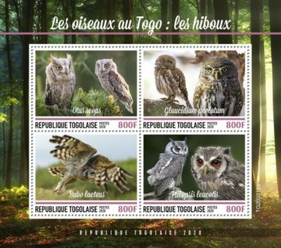 Togo 2020 Colibri Foglio come Nuovo Mai Incernierato 